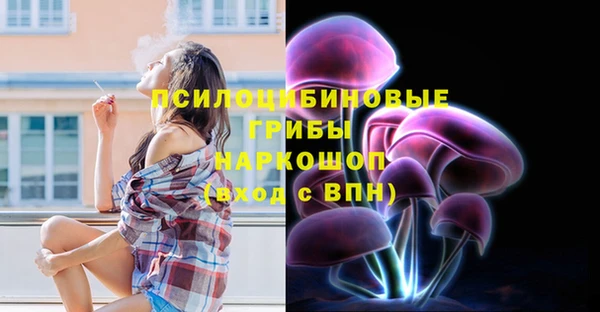 соль ск Беломорск