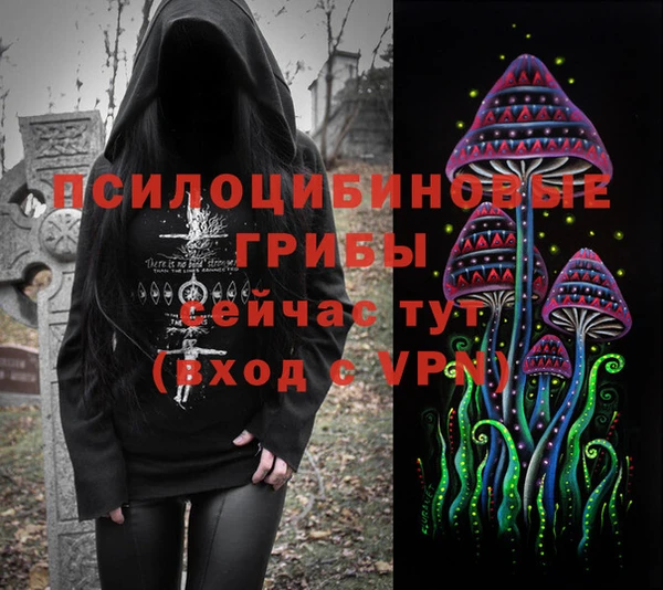 спайс Белокуриха